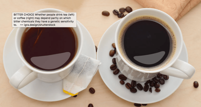 Screen Shot 2018-11-15 at 12.14.43 PM.png